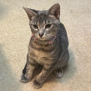 Meet your Posher, Aditya